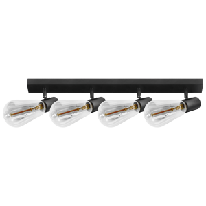 RIO SP 4, wall and ceiling light, E27 max. 4x60W, IP20, black
